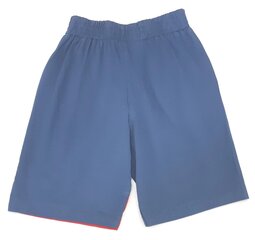 Lühikesed püksid poistele hind ja info | Poiste lühikesed püksid | kaup24.ee