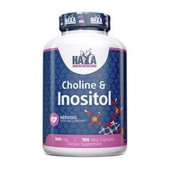 Пищевая добавка Haya Labs Choline & Inositol, 100 капсул цена и информация | Витамины | kaup24.ee