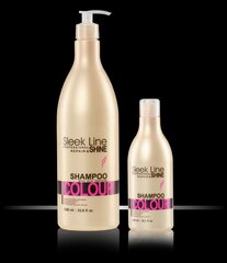 Stapiz Sleek Line Colour šampoon 300 ml hind ja info | Šampoonid | kaup24.ee