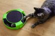 Mänguasi kassile - hiirega ratas hind ja info | Kraapimispuud | kaup24.ee