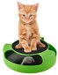 Mänguasi kassile - hiirega ratas hind ja info | Kassi ronimispuud | kaup24.ee