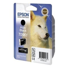 Epson оригинал чернила C13T09614010 T0961 - цена и информация | Картриджи для струйных принтеров | kaup24.ee