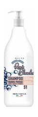 Шампунь для сухих и ломких волос Shampoo Renee Blanche MOINE for dry and brittle hair, 1000 ml цена и информация | Шампуни | kaup24.ee