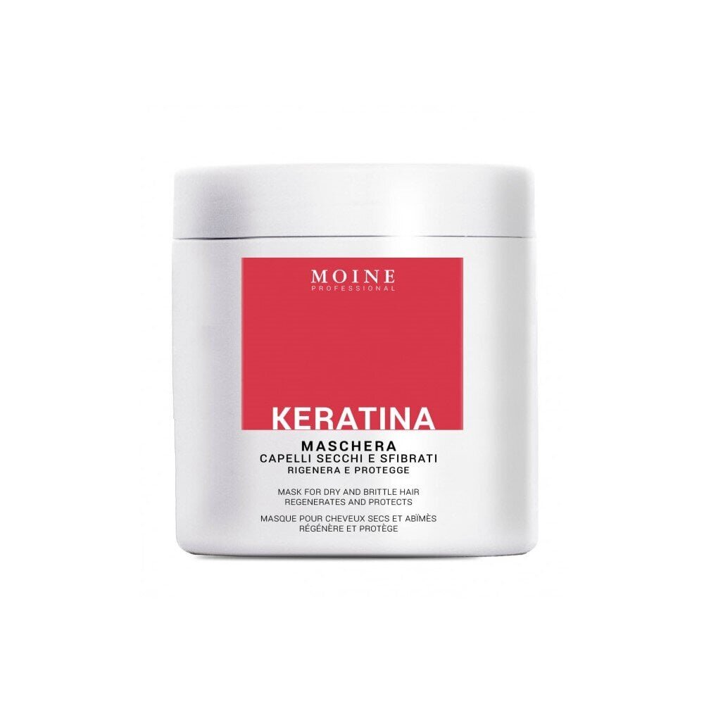 Taastav ja kaitsev mask kuivadele ja rabedatele juustele Renee Blanche Moine KERATIN Mask for dry and brittle hair regenerates and protects, 1000 ml цена и информация | Maskid, õlid, seerumid | kaup24.ee