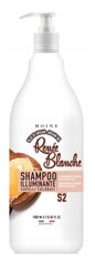 Шампунь для окрашенных волос Illuminanting Shampoo Renee Blanche MOINE for colored hair, 1000 ml цена и информация | Шампуни | kaup24.ee