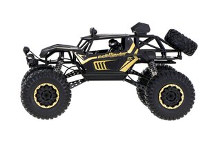 RC auto puldiga Rock Crawler Metal 1:8 2.4GHz hind ja info | Poiste mänguasjad | kaup24.ee