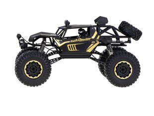 RC auto puldiga Rock Crawler Metal 1:8 2.4GHz цена и информация | Игрушки для мальчиков | kaup24.ee