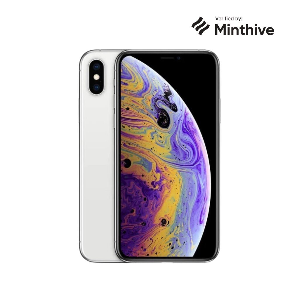 Pre-owned A klassi Apple iPhone XS 64GB Silver hind ja info | Telefonid | kaup24.ee