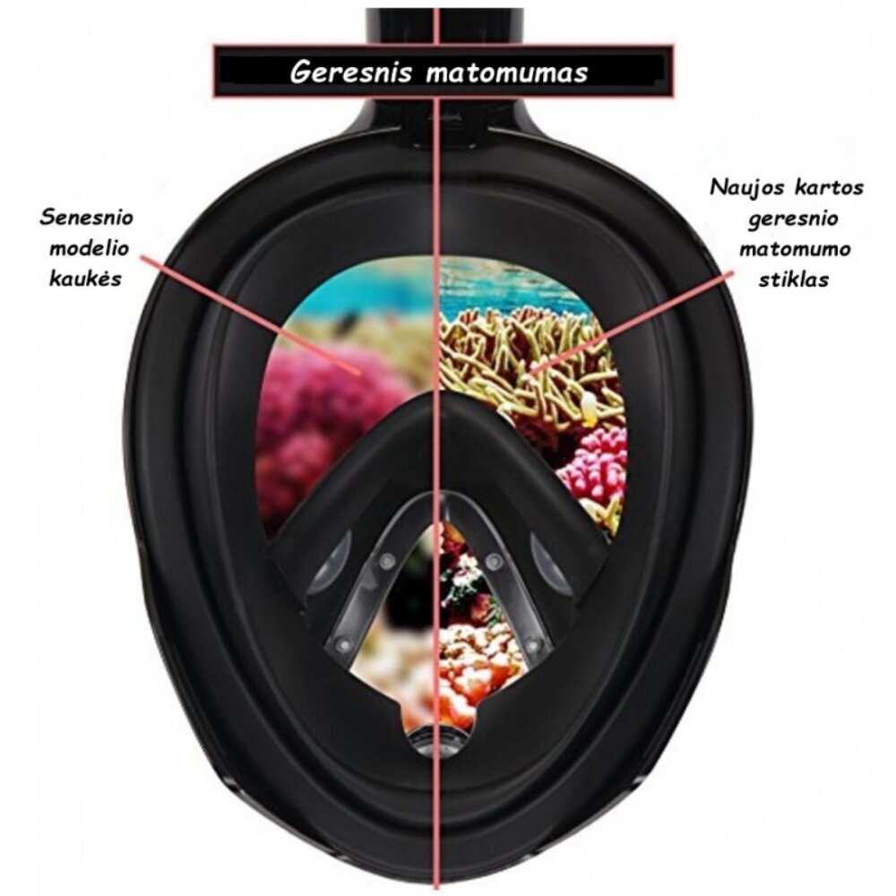 Sukeldumismask Avatar Mask V3, M suurus hind ja info | Ujumismaskid | kaup24.ee