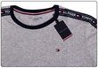 Meeste T-särk Tommy Hilfiger RN TEE SS Hall UM0UM00562 004 16748 цена и информация | Meeste T-särgid | kaup24.ee