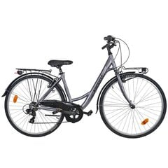 Велосипед ESPERIA 28" 6500 46 6V TZ50, серый цена и информация | Велосипеды | kaup24.ee