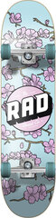 Rula Rad Cherry Blossom Complete, sinine hind ja info | Rulad | kaup24.ee