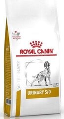 Корм для собаки при проблемах с почками Royal Canin Dog Urinary S/O, 13 кг цена и информация | Сухой корм для собак | kaup24.ee