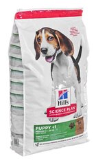 Kuivtoit kutsikatele Hill's Science Plan Puppy Medium lambaliha ja riisiga, 14 kg цена и информация | Сухой корм для собак | kaup24.ee