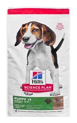 Kuivtoit kutsikatele Hill's Science Plan Puppy Medium lambaliha ja riisiga, 14 kg hind ja info | Kuivtoit koertele | kaup24.ee