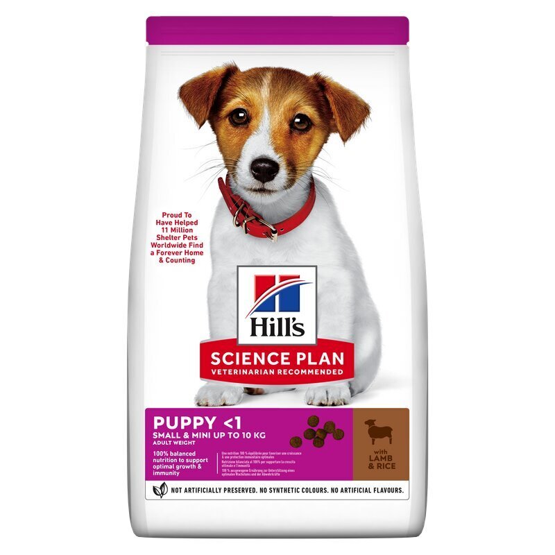 Hill's Science Plan small & mini kutsikate toit kutsikatele lambaliha ja riisiga, 1.5 kg цена и информация | Kuivtoit koertele | kaup24.ee