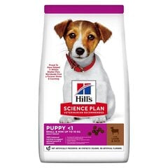 Hill's Science Plan small & mini kutsikate toit kutsikatele lambaliha ja riisiga, 0.3 kg hind ja info | Kuivtoit koertele | kaup24.ee
