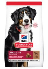 Hill's Sience Plan Large Breed Adult koeratoit lambaliha ja riisiga, 14 kg hind ja info | Kuivtoit koertele | kaup24.ee