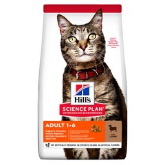 Корм для кошек с бараниной Hill's Science Plan Adult, 10 кг цена и информация | Сухой корм для кошек | kaup24.ee