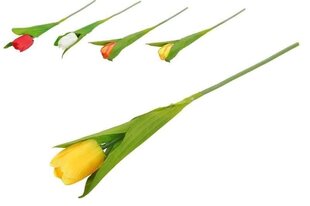 Искусственные цветы Тюльпан цена и информация | Искусственные цветы | kaup24.ee