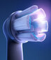 Elektriline hambahari Oral-B 409151 hind ja info | Elektrilised hambaharjad | kaup24.ee