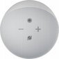 Amazon Echo Dot 4th Gen, valge цена и информация | Kõlarid | kaup24.ee