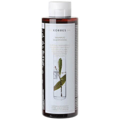 Laurel & Echinacea kõõmavastane (šampoon) 250 ml hind ja info | Šampoonid | kaup24.ee