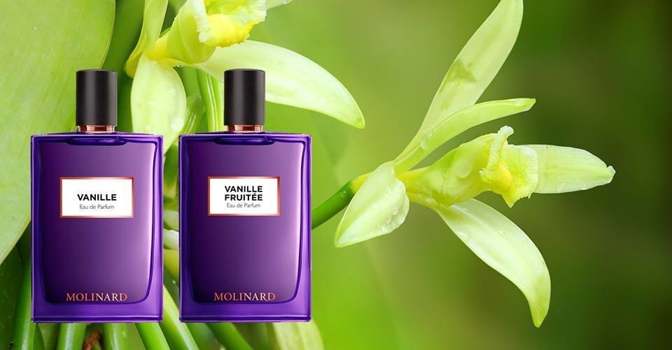 Molinard Les Elements Collection: Vanille EDP 75ml цена и информация | Naiste parfüümid | kaup24.ee