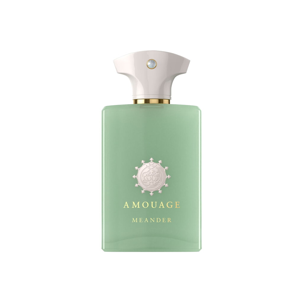 Parfüümvesi Amouage Meander EDP naistele/meestele, 100 ml hind ja info | Naiste parfüümid | kaup24.ee