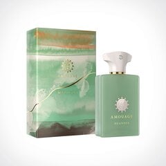 Парфюмированная вода Amouage Меандр EDP для женщин/мужчин, 100 мл цена и информация | Amouage Духи, косметика | kaup24.ee