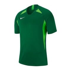 Meeste T-särk Nike, roheline hind ja info | Meeste spordiriided | kaup24.ee