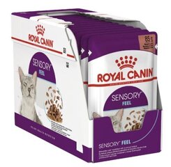 ROYAL CANIN Sensory консервы для кошек 12x85 г цена и информация | Кошачьи консервы | kaup24.ee