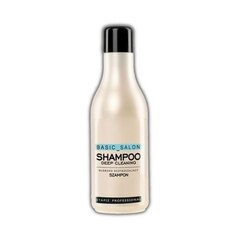 Stapiz Basic Salon Deep Cleaning šampoon 1000 ml цена и информация | Шампуни | kaup24.ee