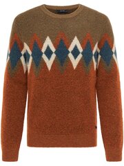 Мужской свитер Pierre Cardin 55680/000/12563 цена и информация | свитер e193 - черный | kaup24.ee