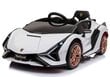 Ühekohaline laste elektriauto Lamborghini Sian, valge hind ja info | Laste elektriautod | kaup24.ee