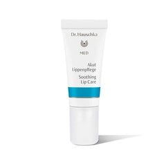 Dr. Hauschka Huulepalsam – (huulehooldus) 5 ml hind ja info | Huulepulgad, -läiked, -palsamid, vaseliin | kaup24.ee