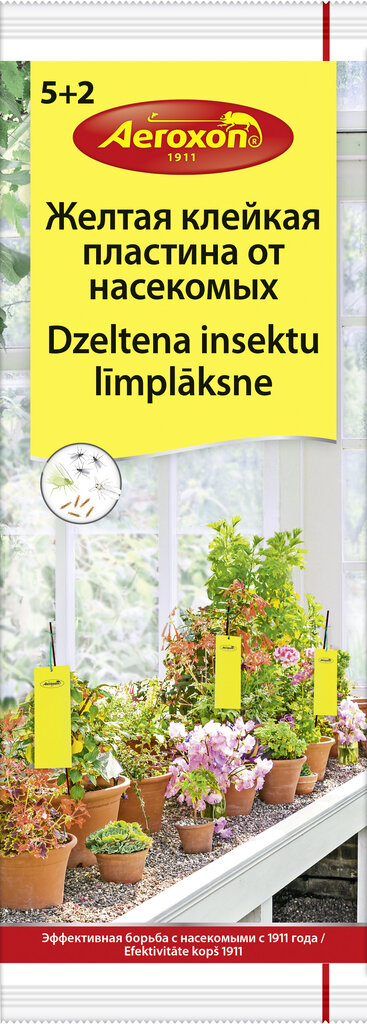 Kollane putukate liimpüünis kasvuhoonesse Aeroxon, 7 tk hind ja info | Putukad | kaup24.ee