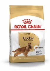 ROYAL CANIN täiskasvanud kokkerspanjelitele Cocker adult, 3 kg hind ja info | Kuivtoit koertele | kaup24.ee