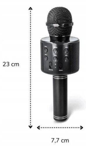 Karaoke mikrofon, häält muutvate efektidega, juhtmeta Bluetooth-mikrofon, must цена и информация | Arendavad mänguasjad | kaup24.ee