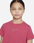 Nike noorte T-särk цена и информация | Tüdrukute särgid | kaup24.ee