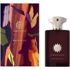 Парфюмерная вода Amouage Boundless EDP для женщин и мужчин, 100 мл цена и информация | Amouage Духи, косметика | kaup24.ee