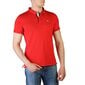 Tommy Hilfiger - DM0DM12219 72124 DM0DM12219_XNL-XL цена и информация | Meeste T-särgid | kaup24.ee