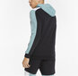 Puma Džemprid Ess+ Block Hoodie Black Mint 847428 50 847428 50/M цена и информация | Meeste pusad | kaup24.ee