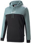 Puma Džemprid Ess+ Block Hoodie Black Mint 847428 50 847428 50/M цена и информация | Meeste pusad | kaup24.ee