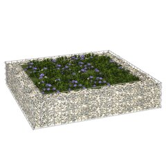 vidaXL gabioon-taimelava, tsingitud teras, 100 x 100 x 20 cm hind ja info | Lillekastid | kaup24.ee