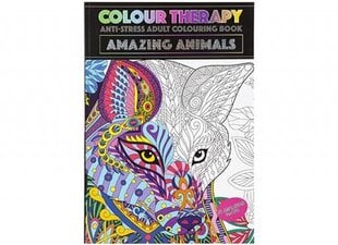 Книжка-раскраска Животные цена и информация | Книжки - раскраски | kaup24.ee