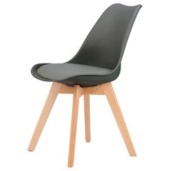 4 tooli komplekt padjaga 4 tk. ModernHome hind ja info | Söögilaua toolid, köögitoolid | kaup24.ee