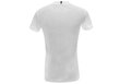 Tommy Hilfiger T-särk Heritage V-neck Tee White WW0WW24969 100 19084 цена и информация | Naiste T-särgid, topid | kaup24.ee