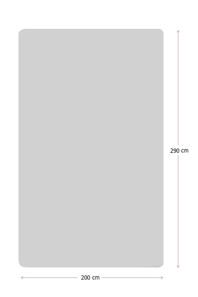 Laste vaip Map, 200x290 cm цена и информация | Vaibad | kaup24.ee