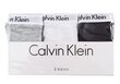 CALVIN KLEIN NAISTE BIKIINIPÜKSID, 3 PAARI, MUST/VALGE/HALL QD3588E 999 14829 цена и информация | Naiste aluspüksid | kaup24.ee